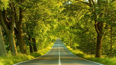 hd desktop wallpapers|Desktop Wallpapers: Free HD Download [500+ HQ] .
